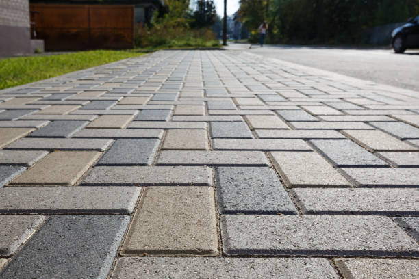 Best Decorative Driveway Pavers  in Lake City, MN