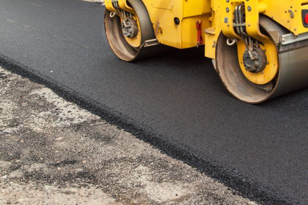 Best Local Driveway Pavers  in Lake City, MN
